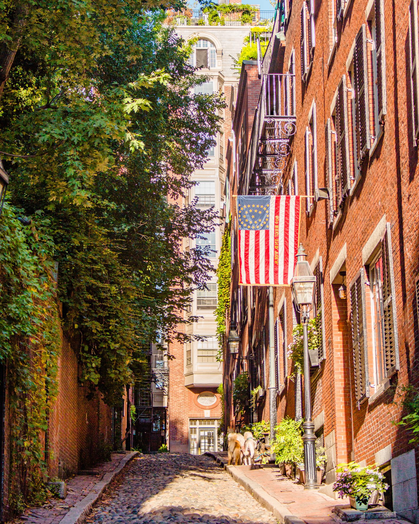 Brick alley with an American flag