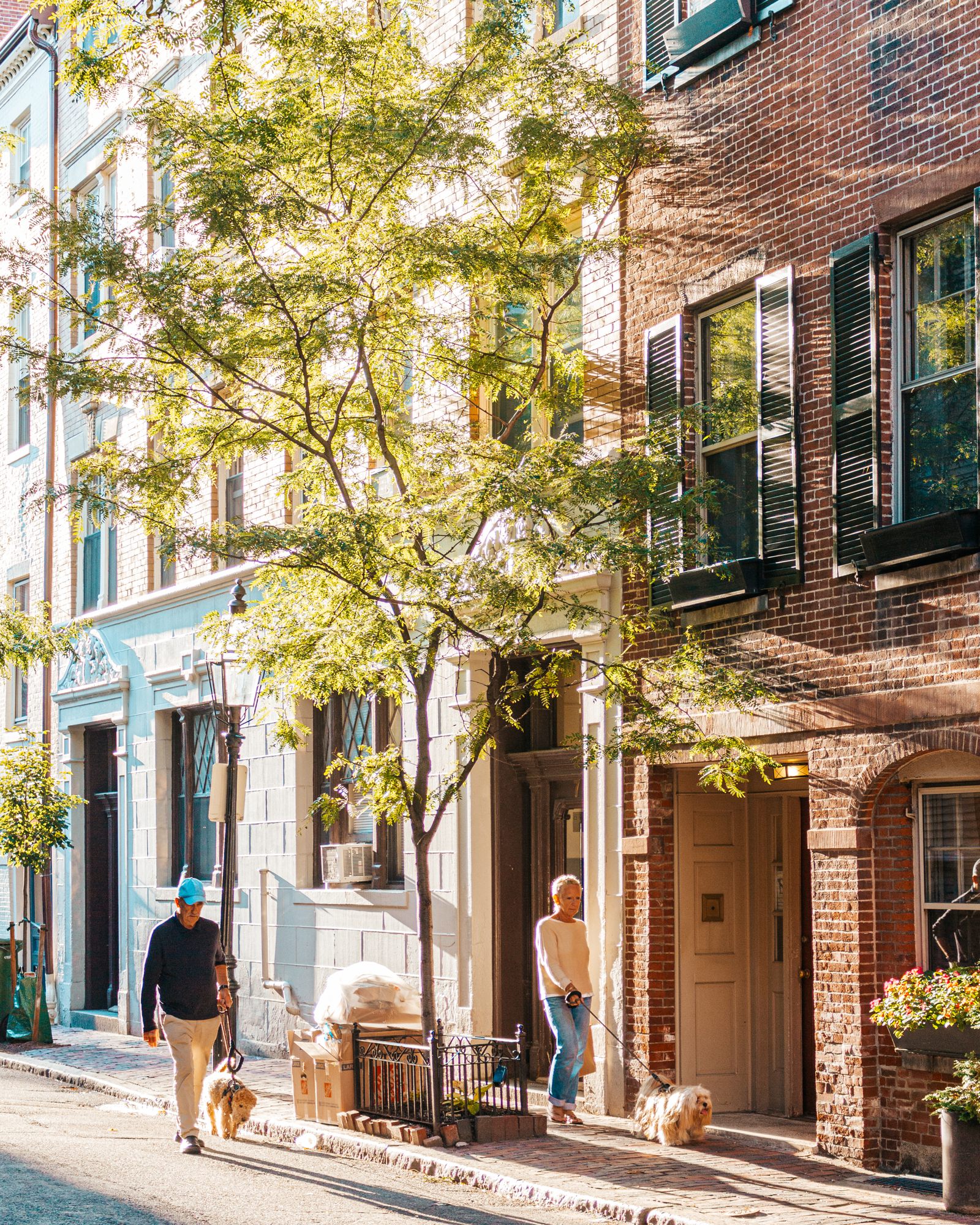 Townhouses and trees on a quiet street