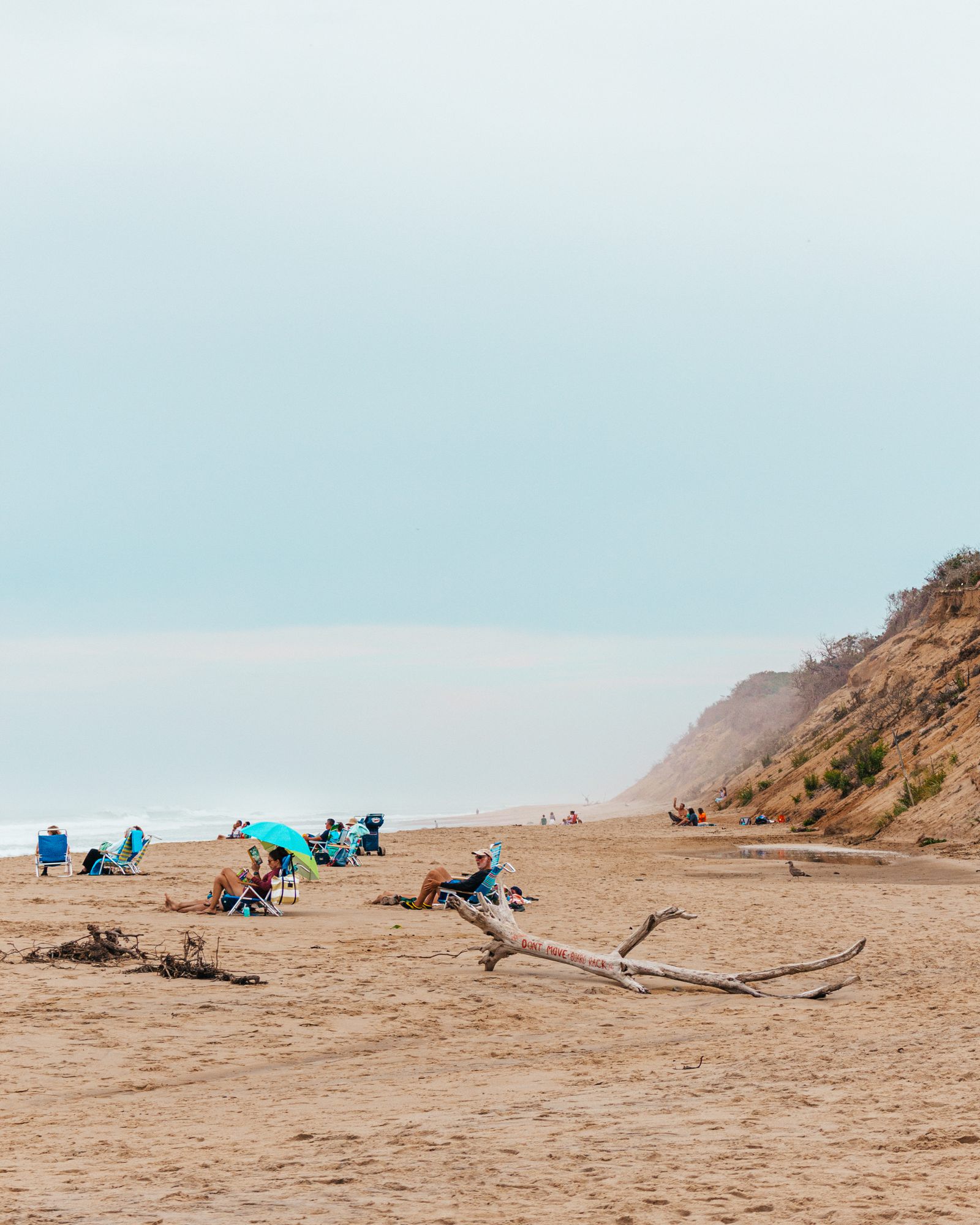 Beach below a sandy cliff