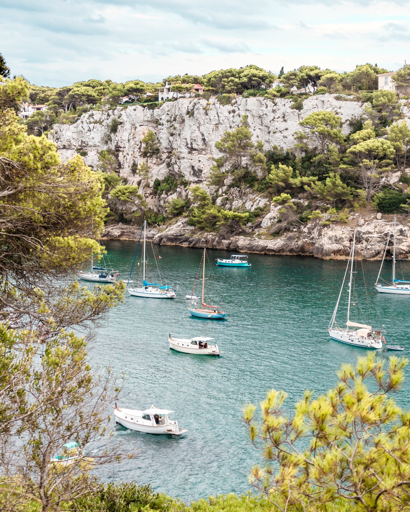 Sailboats anchored in a cove
