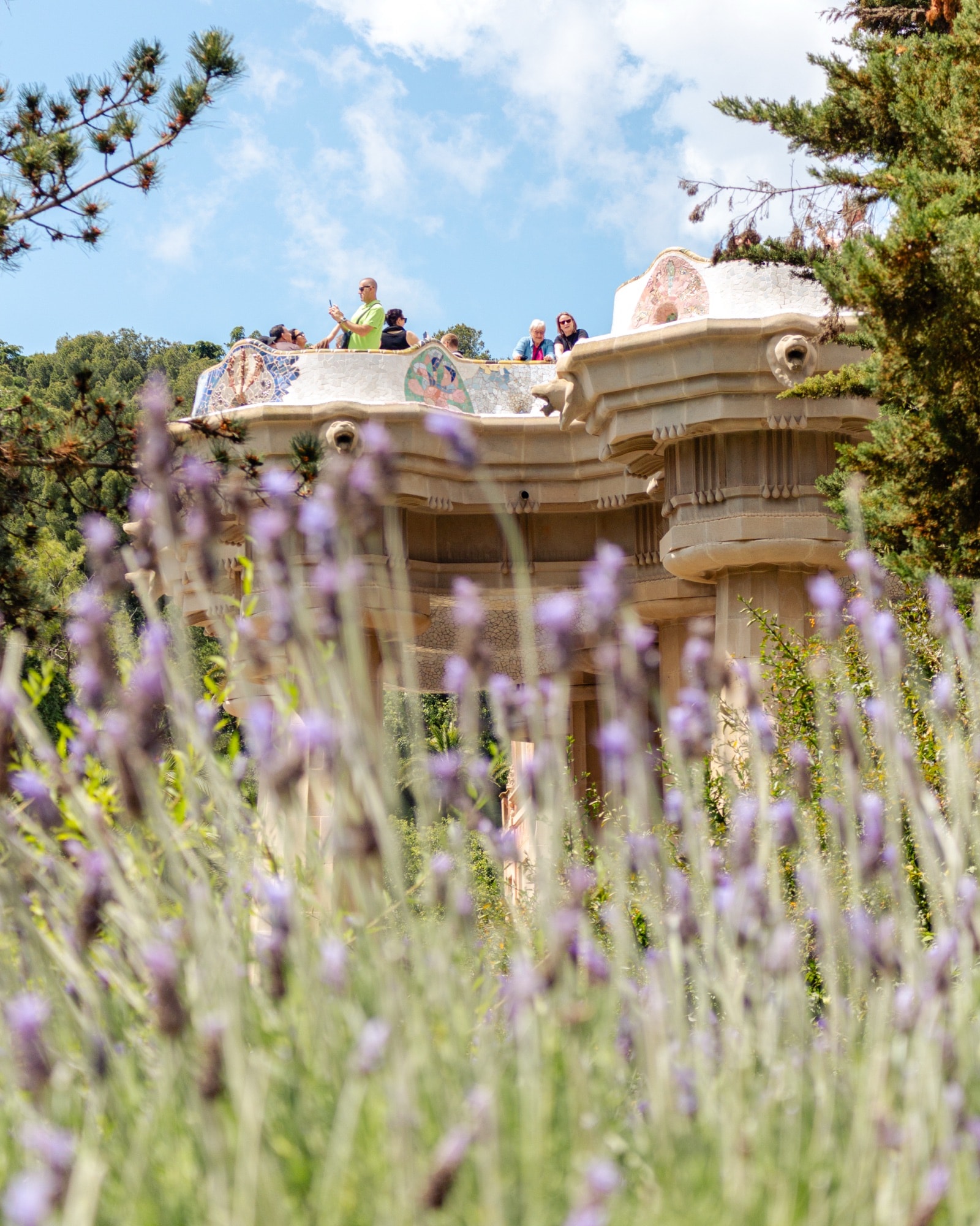 Lavender in front of a Gaudí building