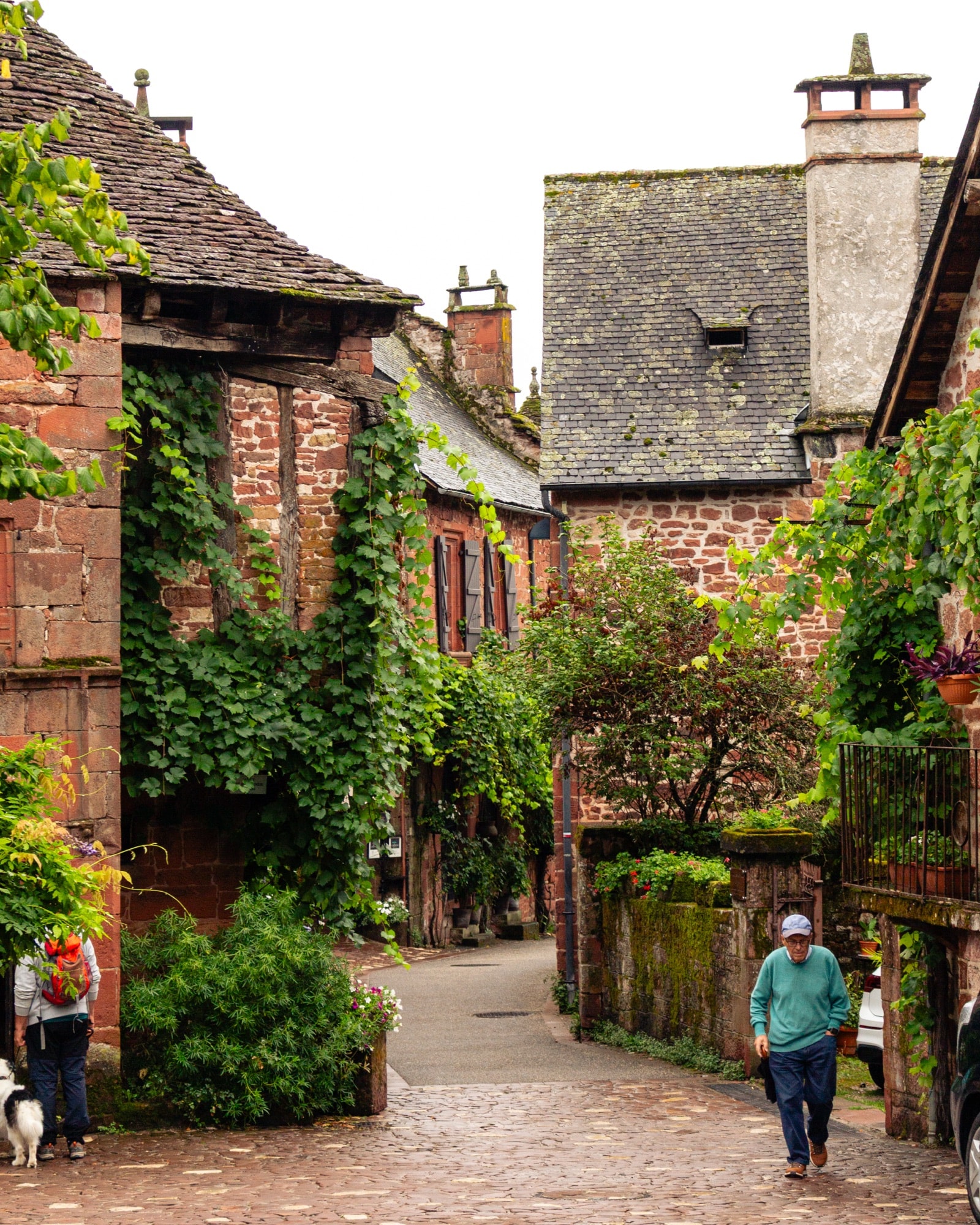 Red sandstone houses covered in ivy